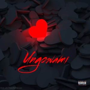 Ungowami