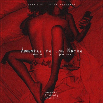 Amantes de una Noche (Sebriant Season) (feat. John Wise) - Single