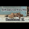 Sindauya Nyuma - Single