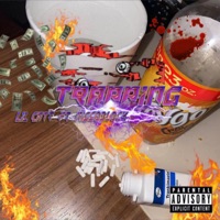 Trapping (feat. NiggoBlock) - Single - Lil Catt