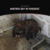 Another Day In Paradise - Single