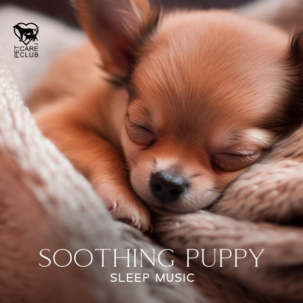 Soothing Puppy Sleep Music: Relaxing Sleep Music for Dogs, Chill Your Dog Out, Calm Your Pet