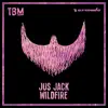 Wildfire
