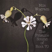 Va Lentement (Instrumental) - Single - Nils Wogram & Root 70