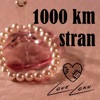 1000 Km Stran - Single
