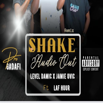 Shake (feat. Jamy ovic & Level Damic) [Remix] - Single