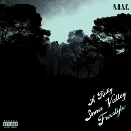 A Rally Inna Valley' (Freestyle) NOYC