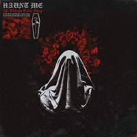 Album cover for Lost Frequencies by Haunt Me