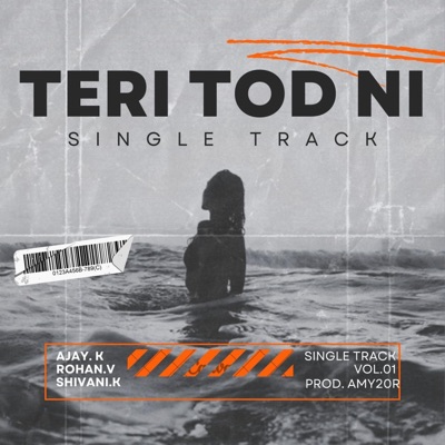 Teri Tod Ni (feat. Rohan Verma, Ajay Kumar & Amy 20R) [Prod. amy 20r] - Single