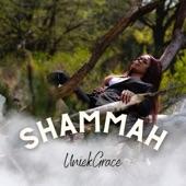 Shammah artwork