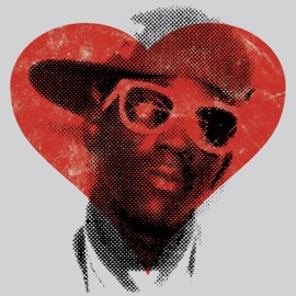 Speaker Damage Doormouse