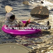 How Will I Know Vs Colors (Mashup) [Remix] artwork
