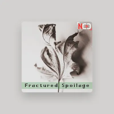 Listen to Non Copyright Collective, watch music videos, read bio, see tour dates & more!