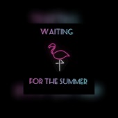 Waiting For the Summer artwork