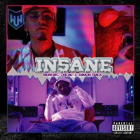 Insane (feat. Damontrack) - Single - Rider Rec. Oficial