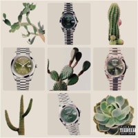 Nopale$ - Single - Hernan Trillfiger