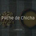 PILCHE DE CHICHA