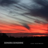 Sonora Sunshine artwork