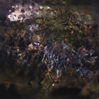 Sumpf - elo & Swoosh Hood