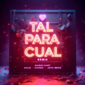 Tal Para Cual (feat. Kale "La Evolución", Handa & Jota Benz) [Remix] artwork
