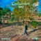 Costumava Ser (feat. Orik Lake) - euicarus lyrics