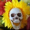 Skull Flower - Nico Barela lyrics