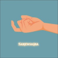 Sarewagba (Alternative Version) - Single - Kvng Vinci