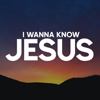 I Wanna Know Jesus - Josué Novais Piano Worship