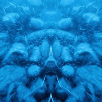 Perception - Single - Stat1c