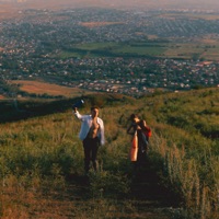 Недотрога - Single - Ром Античный