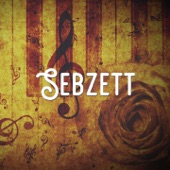 Sebzett artwork