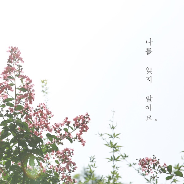 Don′t forget me - Single