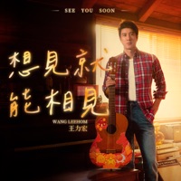 想見就能相見 - Single - Wang Leehom