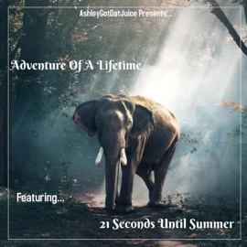 Adventure of a Lifetime (feat. 21 Seconds Until Summer) AshleyGotDatJuice