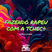 Fazendo Rapeu Com a Tchec4 - Single - MC AIRA FLEX & DJ DJC Original