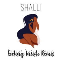 Feeling Inside - Remix - Single - Shalli