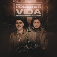Pruebas De La Vida (feat. Colocho Y Su Eminencia) - Single - Manny Preciado