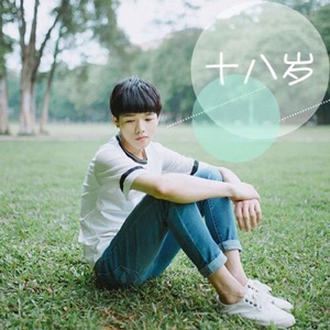 十八岁 - Single