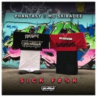 Phantasy & Phriends Part 3 - Single - DJ Phantasy & Skibadee