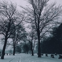 Three-Pack - Single - Desmo. & NeverxHappy
