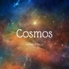 Cosmos - Sleep and Relaxation Ambient Music Vol. 1