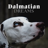 Dalmatian Dreams artwork