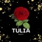 Tulia - Ravy lyrics