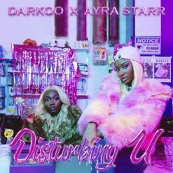 DISTURBING U cover art