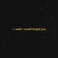 I Wish I Could Forget You - Single - Xand3r