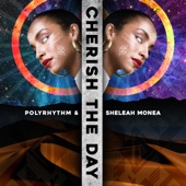 Cherish the Day (Norty Cotto Deepside Mix) artwork