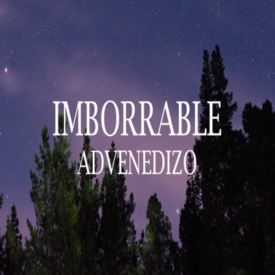 Imborrable - Single