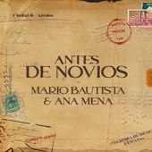 Antes De Novios artwork