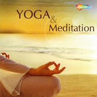 Yoga & Meditation - Shaun Harris