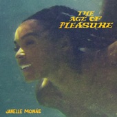 The Rush (feat. Nia Long & Amaarae) by Janelle Monáe